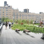 High Line Park New York