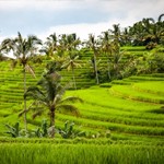 Bali, kies zelf hoe je dit eiland ervaart