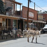 Oatman - Route 66