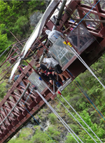 Queenstown bungeejump